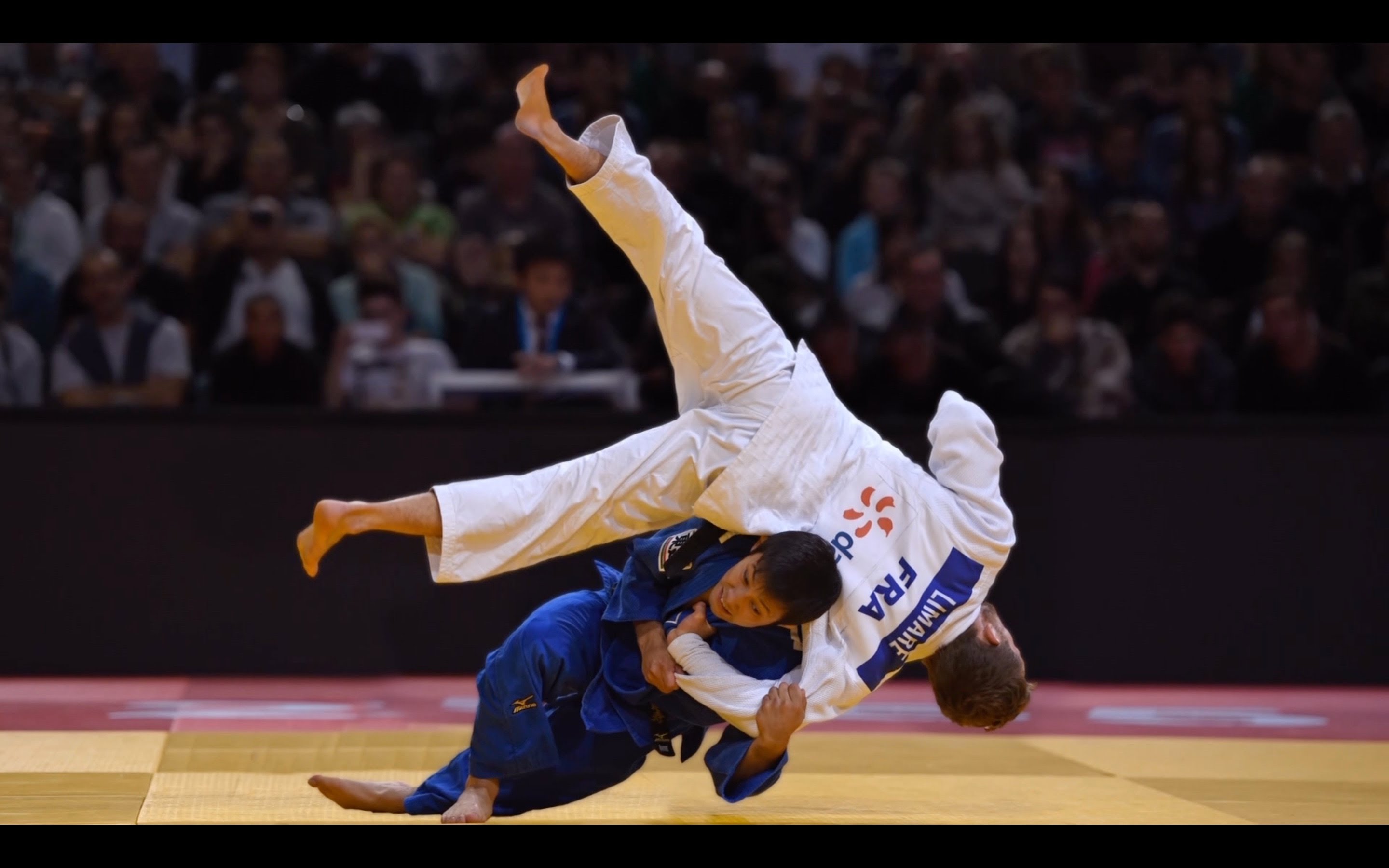 Nhu đạo Judo – môn võ thuật của người Nhật Bản