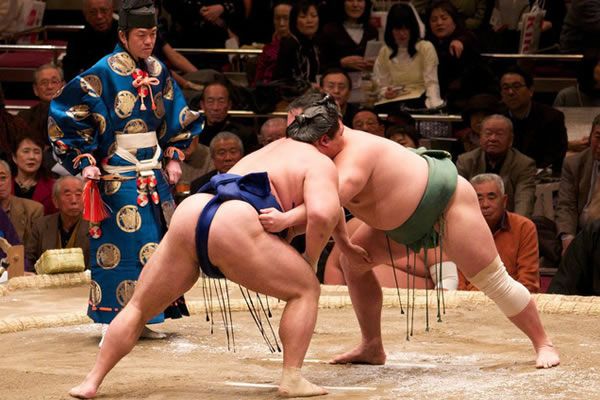 12 Điều ít biết về những võ sĩ Sumo Nhật Bản