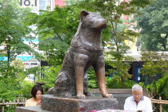 HACHIKO – Chú chó đợi chờ